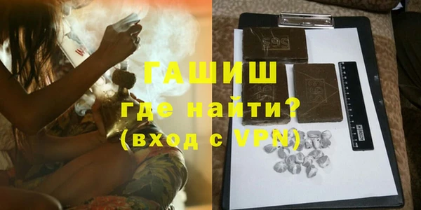 индика Мегион