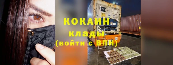 индика Мегион
