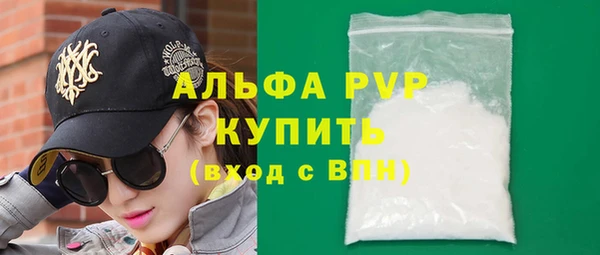 индика Мегион