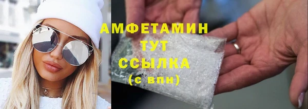 индика Мегион