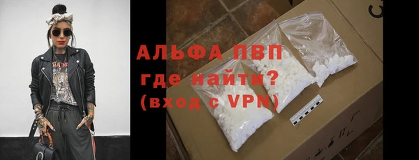 индика Мегион