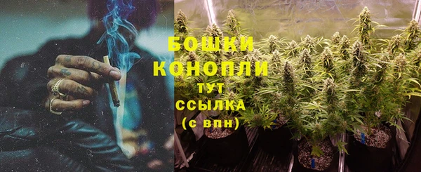 индика Мегион