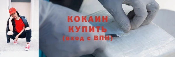 индика Мегион