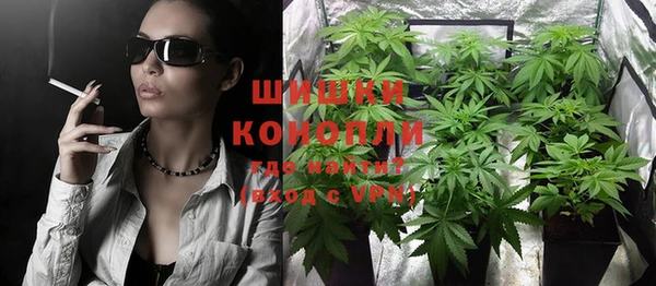 индика Мегион