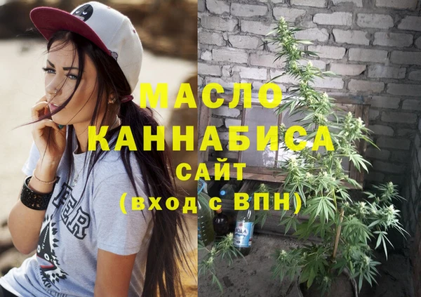индика Мегион
