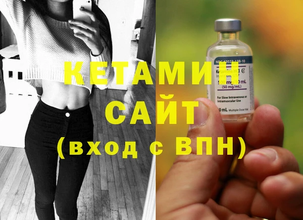 индика Мегион