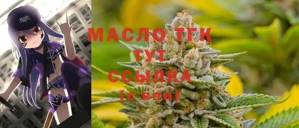 индика Мегион