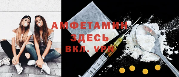 индика Мегион