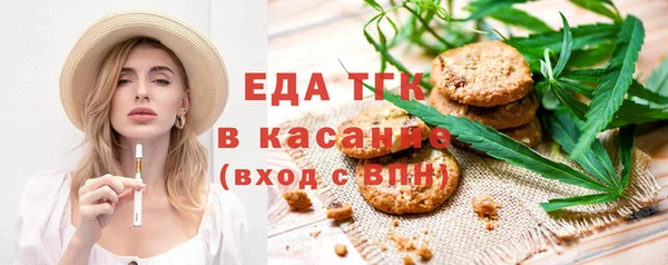 индика Мегион