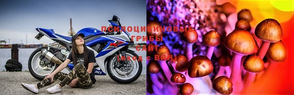 MDMA Premium VHQ Медногорск