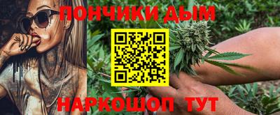 jwh Бийск