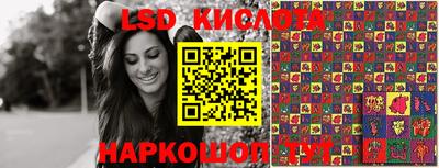 jwh Бийск