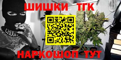 jwh Бийск