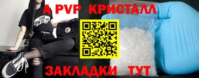 jwh Бийск