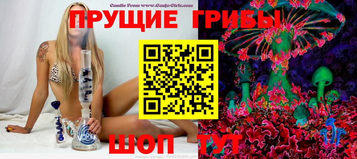Галлюциногенные грибы Psilocybe Каменск-Уральский