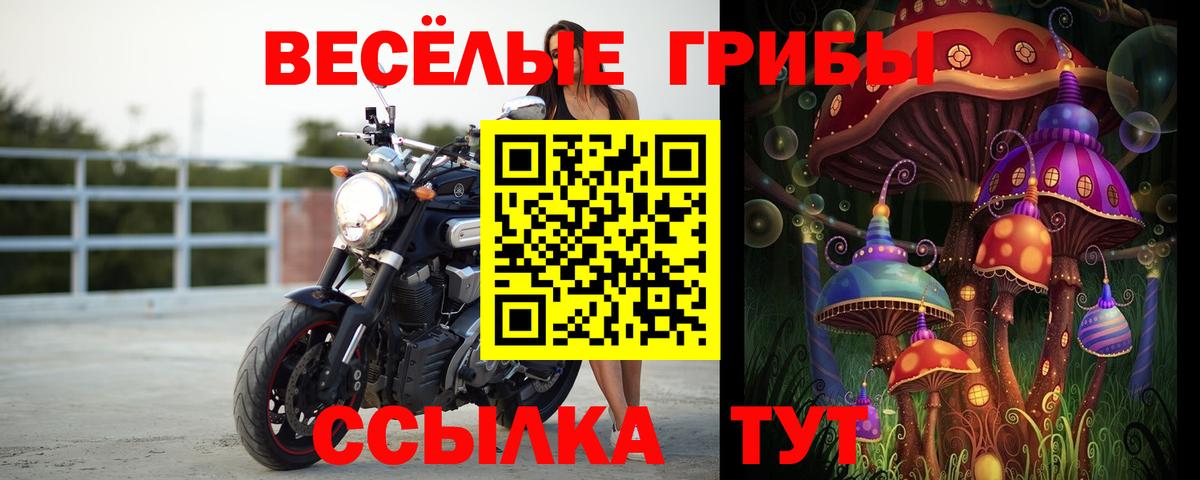 Галлюциногенные грибы Magic Shrooms  Вход с VPN  Каменск-Уральский 